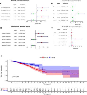 An Immune-Related Long Noncoding RNA Pair as a New Biomarker to Predict the Prognosis of Patients in Breast Cancer